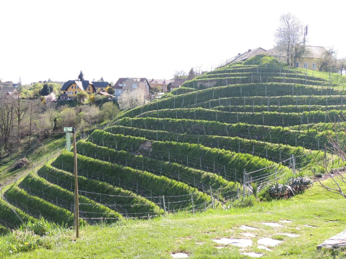 Weingut Albert, Familie Cramer Bed and Breakfast Kitzeck im Sausal Exterior foto